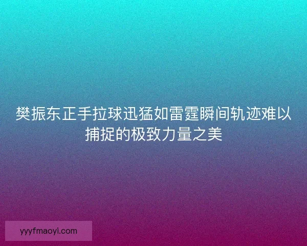 樊振东正手拉球迅猛如雷霆瞬间轨迹难以捕捉的极致力量之美